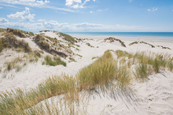 Randonnée les Crocs dans les dunes de la baie de Somme