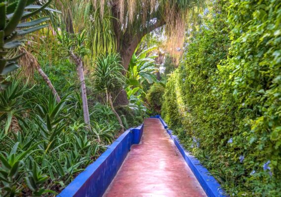 Visite du jardin Majorelle