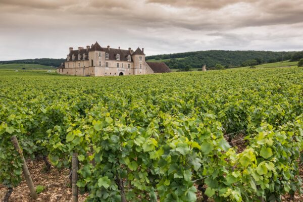 Château du Clos de Vougeot