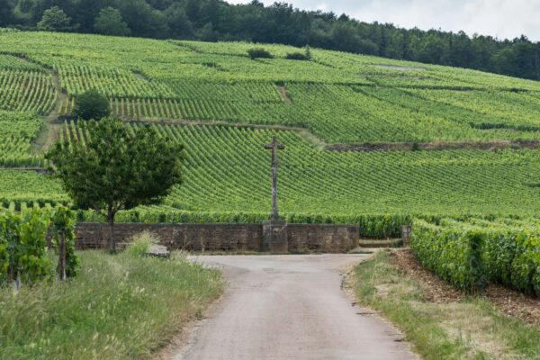 Vignobles de Bourgogne