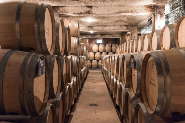 Visite d'une cave de vin de Bourgogne