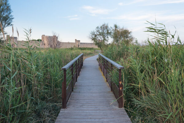 Balade en bordure de l'étang de la ville