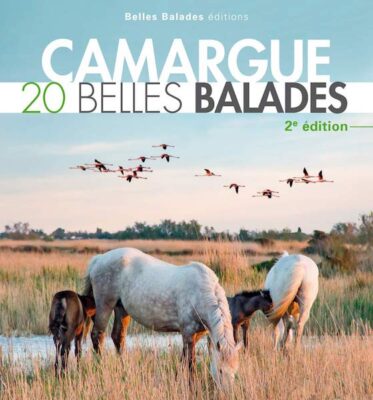 Guide de voyage en papier pour Aigues-Mortes et la Camargue