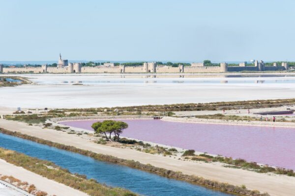 Panorama sur les salins et sur Aigues-Mortes