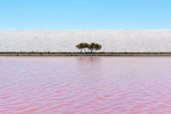 Salins d'Aigues-Mortes