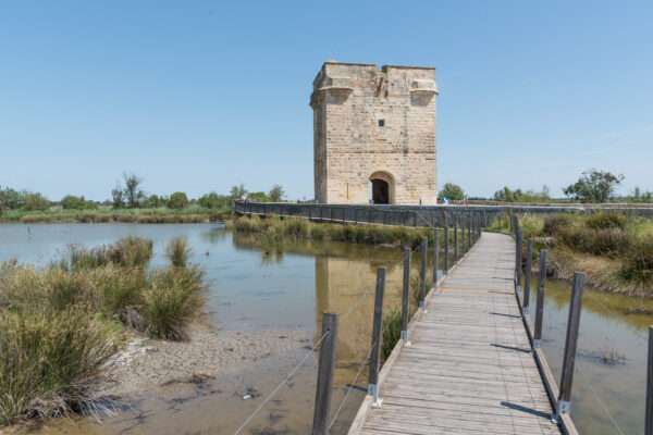 Tour Carbonnière