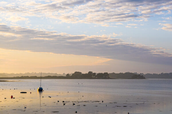 Conleau à Vannes