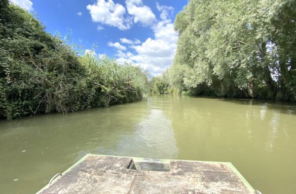 Marais audomarois à Saint-Omer