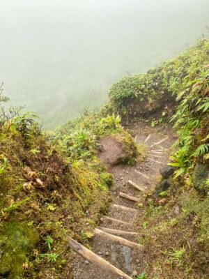 Descente dans le cratère de la montagne Pelée