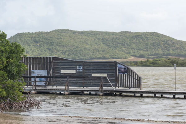 Étang des Salines