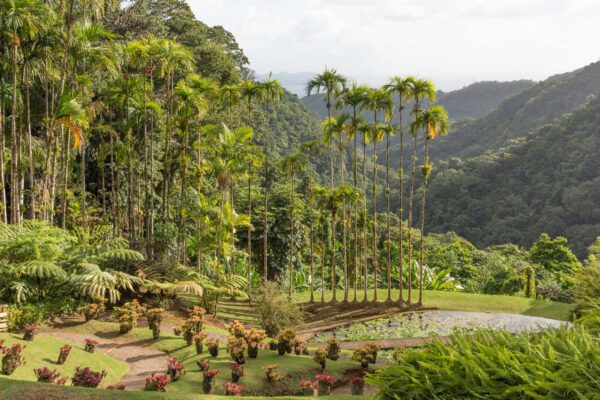 Jardins de Balata