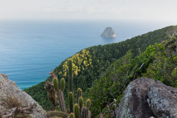 Panorama depuis le sommet du Morne Larcher