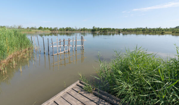 Où dormir en Camargue