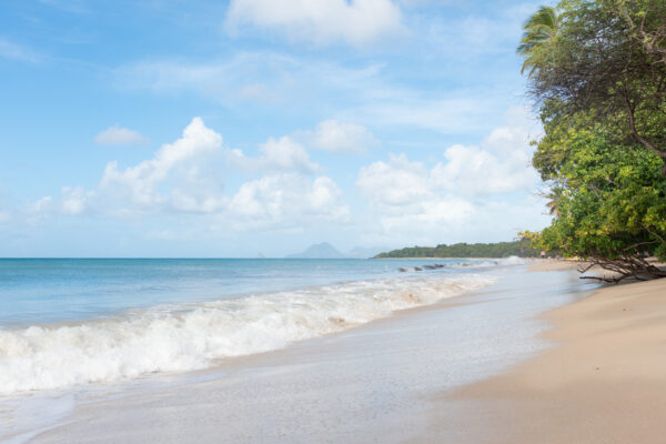 Plage des Salines