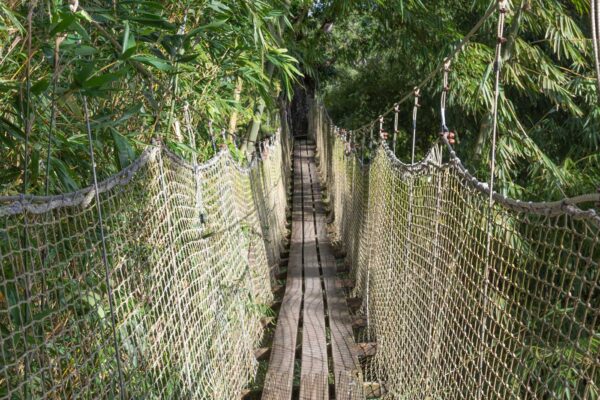 Pont suspendu dans les jardins de Balata