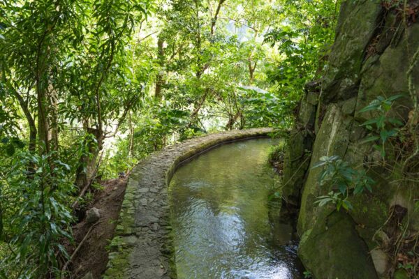 Randonnée du canal des esclaves en Martinique