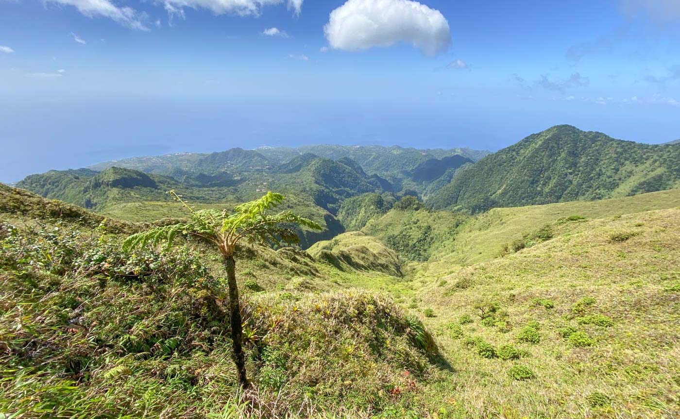 Randonnée sur la montagne Pelée en Martinique