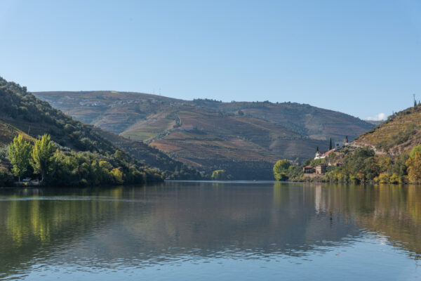 Croisière sur le Douro depuis Porto