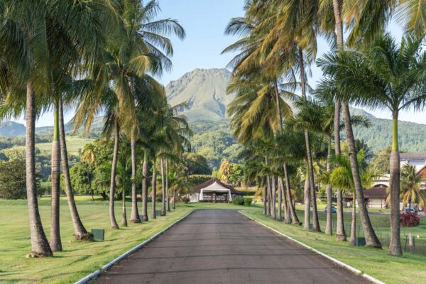 Distillerie Depaz au pied de la montagne Pelée