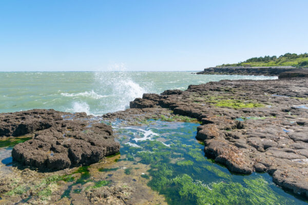 Île d'Aix, un espace naturel et sauvage