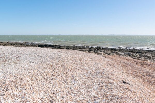 Plage aux coquillages