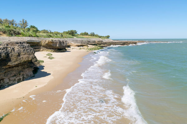 Plage sauvage sur l'île d'Aix