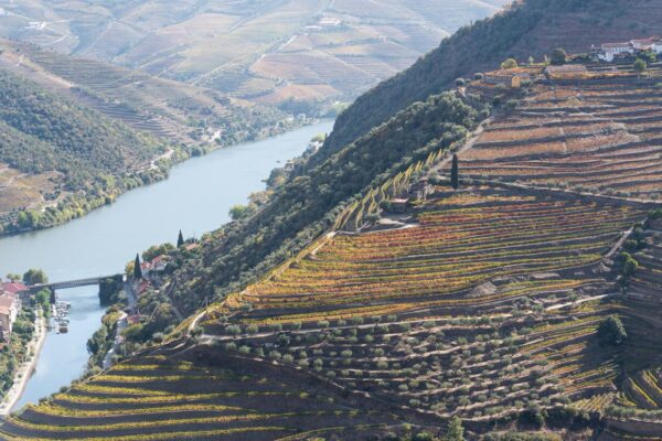 Que faire autour de Porto