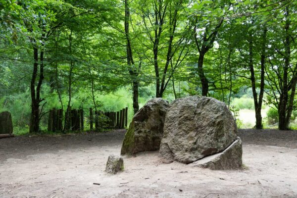 Tombe de Merlin dans la forêt de Brocéliande