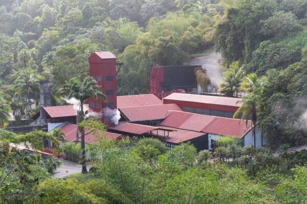 Visite d'une rhumerie en Martinique