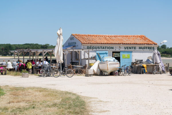 Zone d'affinage d'huîtres