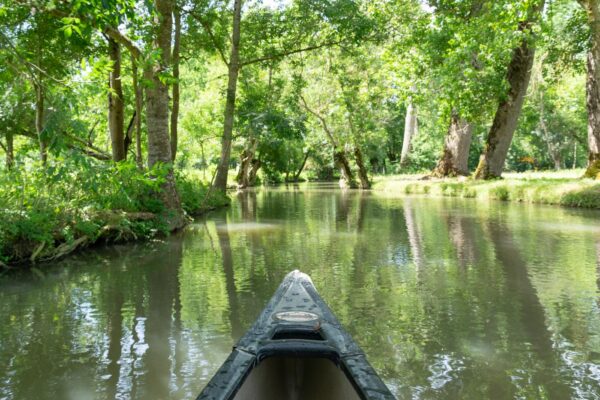 Marais poitevin