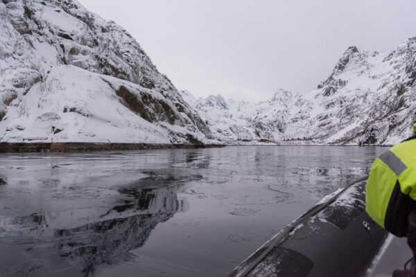 Excursion bateau à Trollfjord