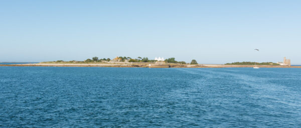 Île de Tatihou depuis Saint-Vaast-la-Hougue