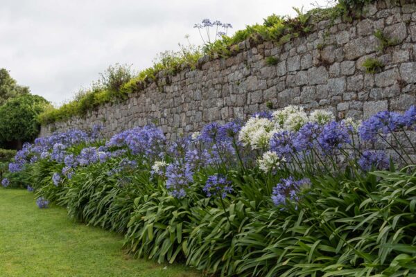 Jardin maritime de Tatihou