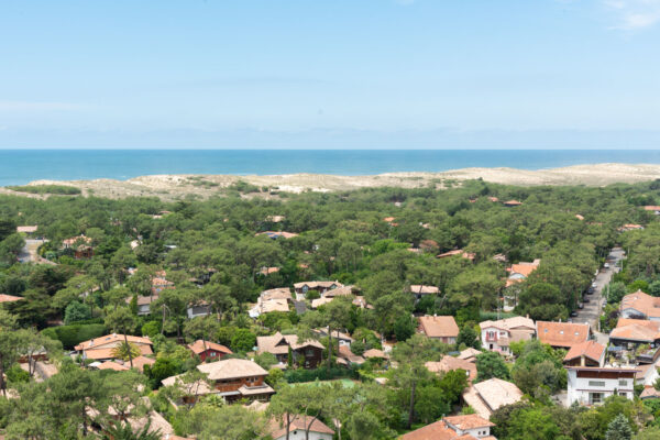 Cap Ferret