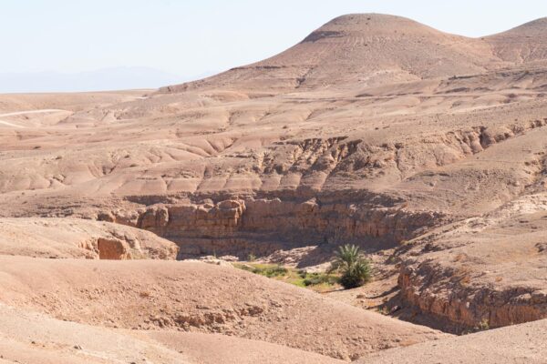 Oasis dans le désert d'Agafay près de Marrakech