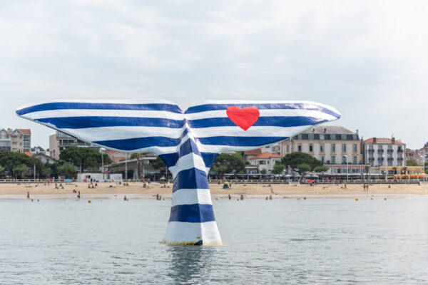 Se loger à Arcachon