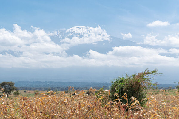 Meilleure période pour le Kilimandjaro