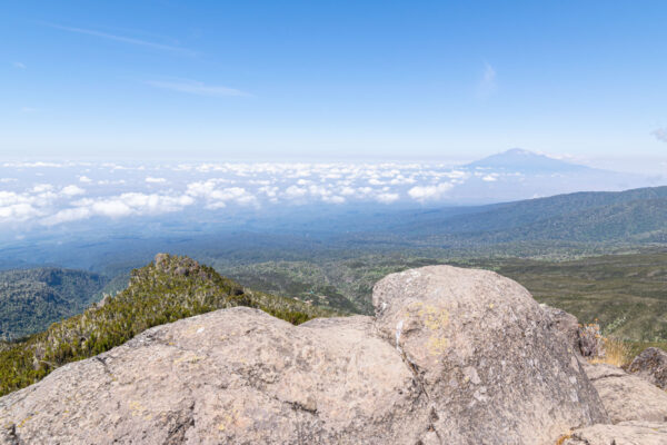 Quand aller sur le Kilimanjaro