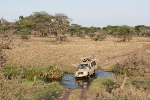 Safari pendant la saison des pluies en Tanzanie