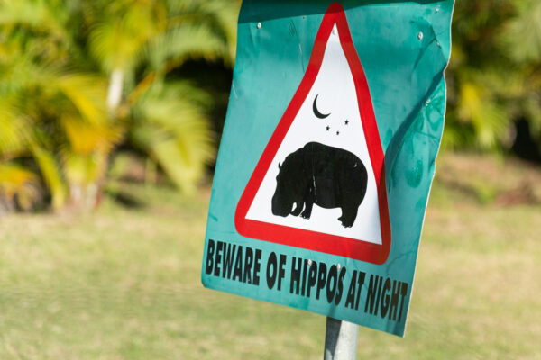 Panneau indiquant la traversée d'hippopotames à St Lucia