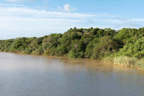 Rivière Sainte-Lucie en Afrique du Sud