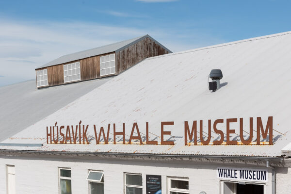 Husavik Whale Museum