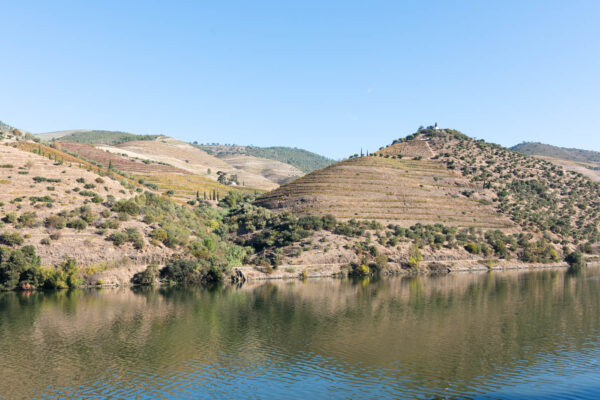 Sortie en bateau sur le fleuve Douro