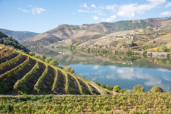 Excursion dans la vallée du Douro depuis Porto