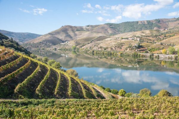 Excursion dans la vallée du Douro depuis Porto