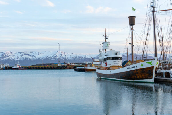 Visiter Husavik