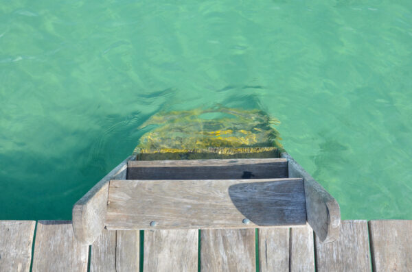 Hôtel avec accès à la lagune de Bacalar