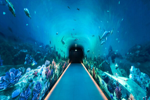 Tunnel aquarium de The View at The Palm